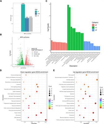 Chlorogenic Acid Ameliorates Damage Induced by Fluorene-9-Bisphenol in Porcine Sertoli Cells